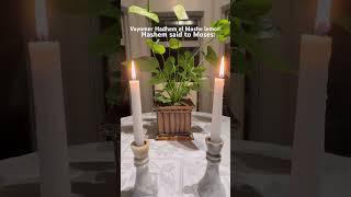 Vayomer ה׳ el Moshe lemor And  ה׳ said to Moses, Numbers 15:37-41,  #prayer #meditation #Numbers15