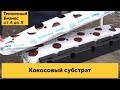 Новинка! Впервые используем «Кокосовый субстрат»