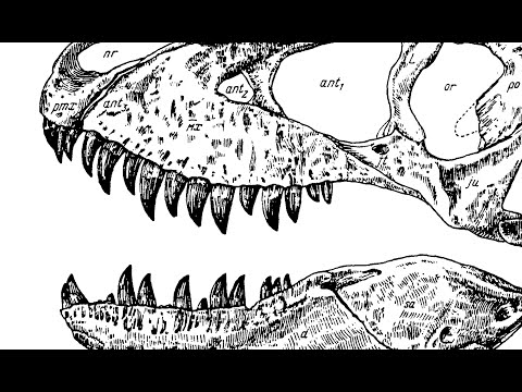 Tarbosaurus: NOT T. REX!