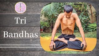 Bandhas | Tribandhas | Yoga | Jalandhar Bandha | Uddiyana Bandha | Mula Bandha | Maha Bandha |