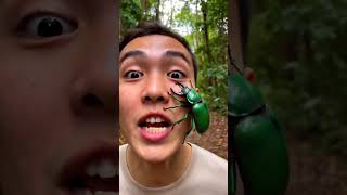 Wild Predator Appears – Komodo Dragon surprises everyone nearby | Nature Attack TV #144