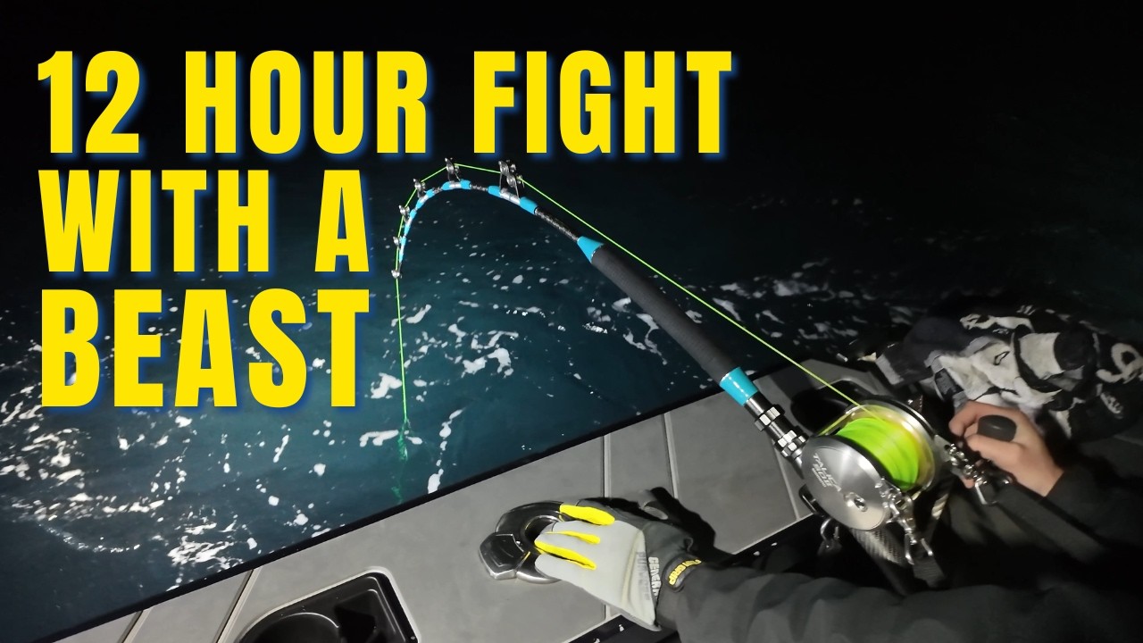 “IT’S HUGE!!” - GIANT BLUEFIN TUNA IN A NEW LOCATION