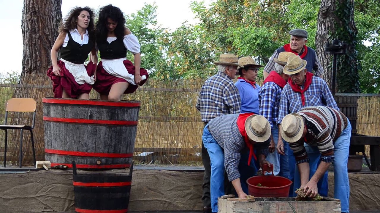 LA PIGIATURA DELL'UVA FdU2015