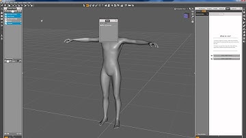 DAZ Studio 4 User Interface Tutorial