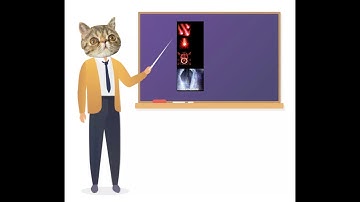 [Easy Solo] Homework for #8 Spear of Your Doom (Zeratul p3 no mining)