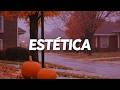 A Estética do Halloween 🎃
