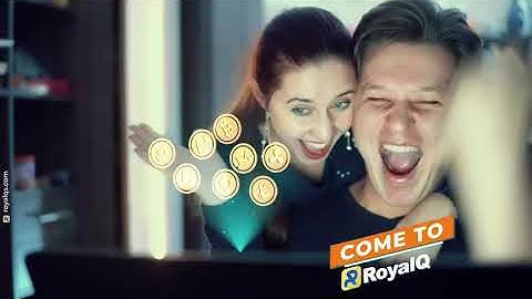 What is Royal Q (Royal Q Introduction)