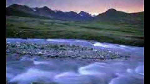 سورة التغابن بصوت الشيخ سلمان العتيبي...