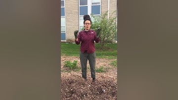 Importance of monitoring the temperature of your compost pile.