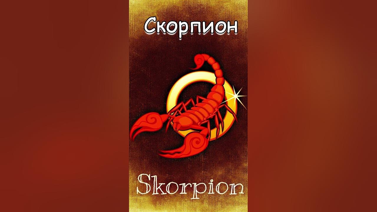 Гороскоп скорпион июнь. Гороскоп Скорпион на 5 ноября 2015.