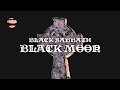 Miniature de la vidéo de la chanson Black Moon