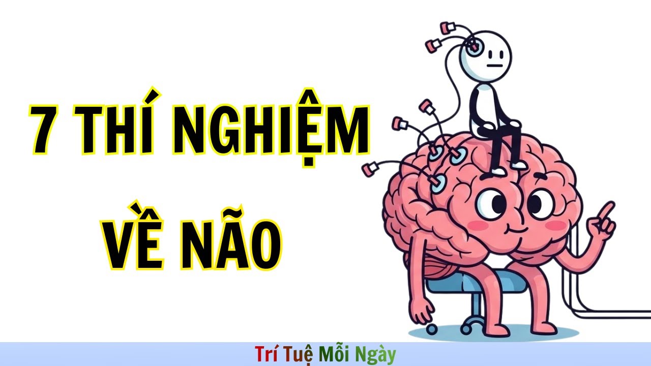 7 THÍ NGHIỆM VỀ BỘ NÃO CÓ THẬT & GÂY TRANH CÃI