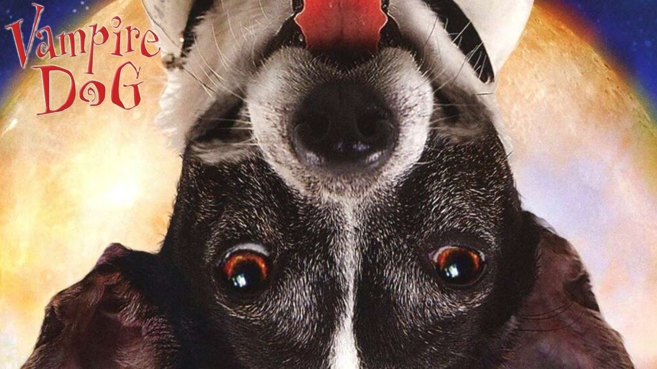 Vampire Dog 2012 Film | Collin MacKechnie, Julia Sarah Stone, Norm MacDonald, Spike, Mikha | Review
