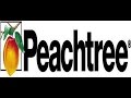 Lesson one in Peachtree Accounting Free