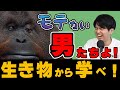 【非モテの生存戦略】モテない男は生き物から学ぼう!#2