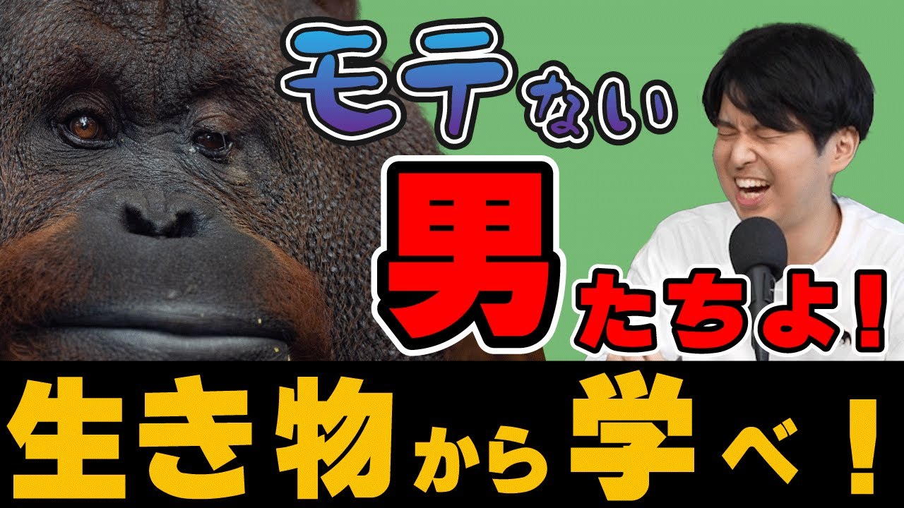 【非モテの生存戦略】モテない男は生き物から学ぼう！#2