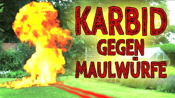 Was macht Karbid mit Maulwürfen?