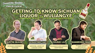 #ExperienceChina·TianfuSichuan#Secrets for making traditional Chinese Baijiu: Wuliangye|中国白酒传统酿造技艺奥秘