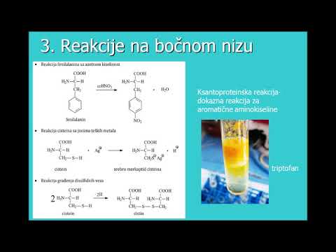 Video: Nekanonsko Označavanje Aminokiselina U Proteomici I Biotehnologiji