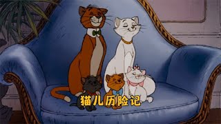 《猫儿历险记》|住在心里的人，以后也要住在家里。