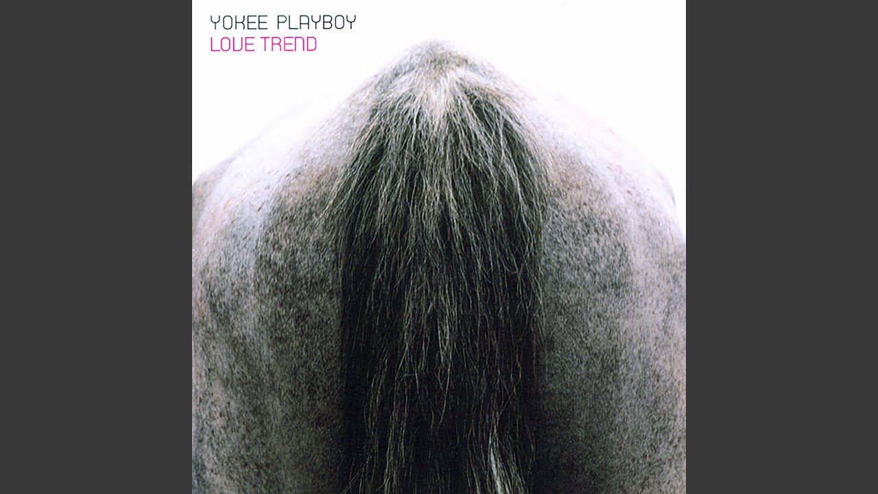 ปกเพลง เพื่อนใหม่ — YOKEE PLAYBOY