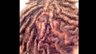 Dreadlock Journey 3 Months
