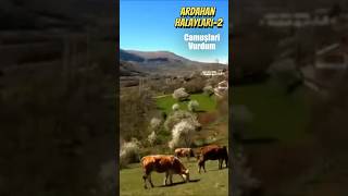 Ardahan Halaylari 2 Çamuşları Vurdum