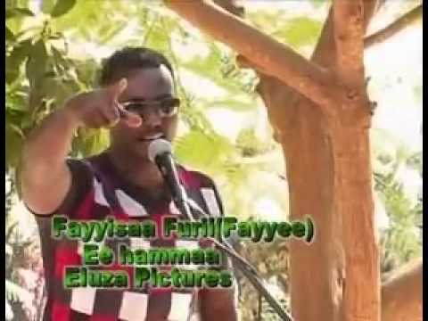 Fayissa Furi Eehammaa