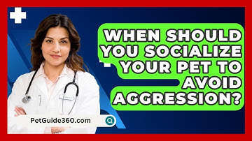 When Should You Socialize Your Pet To Avoid Aggression? - PetGuide360.com