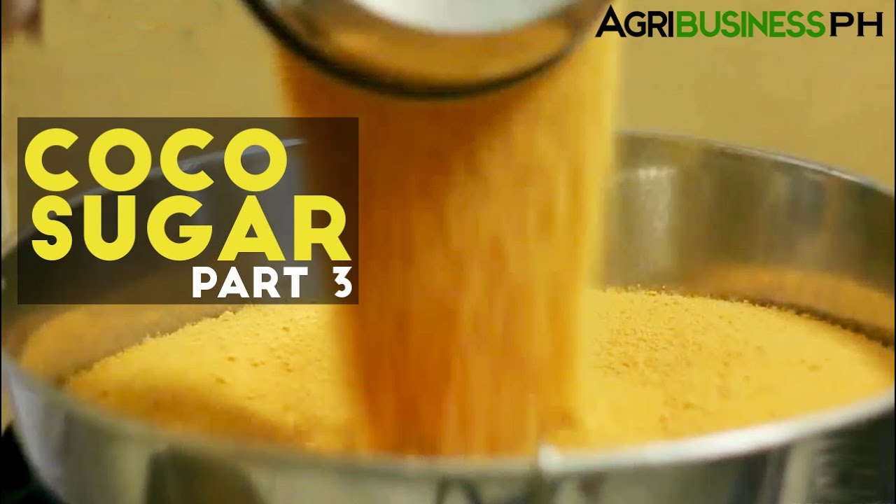Coco Sugar Part 3 : How to make Coco Sugar | Agribusiness Philippines