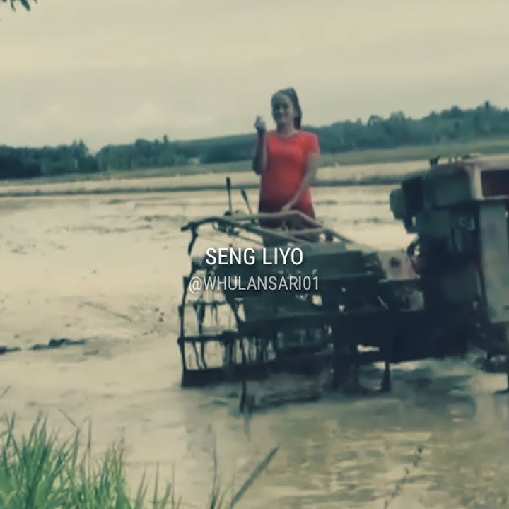 VIDEO VIRALL CEWEK CANTIK BAJAK SAWAH || SAYANGMU WES SUDO