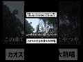 カオスすぎる木登り大熱唱