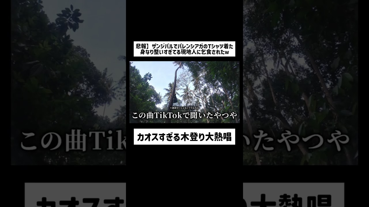 カオスすぎる木登り大熱唱