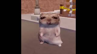 10 Hours - Hamster Dance