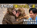 【パンチくん🐵】友達と嬉しいハグ♡でも飼育員さん見つけたらコロッとかわる（笑）