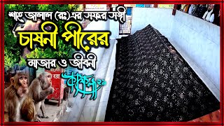 চাষনী পীরের মাজার পাহাড়া দিচ্ছে শত শত বানর । পাহাড়ের উপর চাষনী পীরের মাজার । কাফেলা-২৯