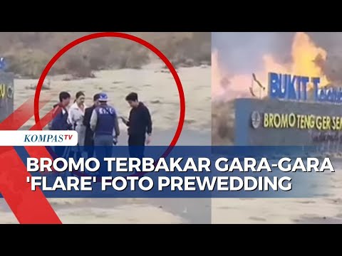 Diduga Picu Kebakaran di Kawasan Bromo, Polisi Tangkap 6 Pelaku Foto Prewedding!