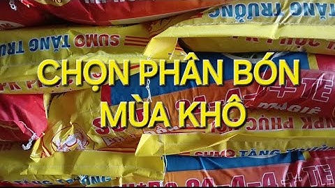 Phân bón mùa khô cho cà phê đất đỏ, đất cát. MV Nhân Trí