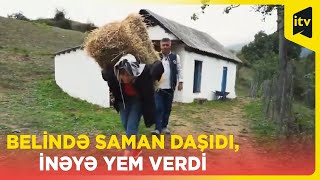 Barlı Bağın Lerik Macəraları