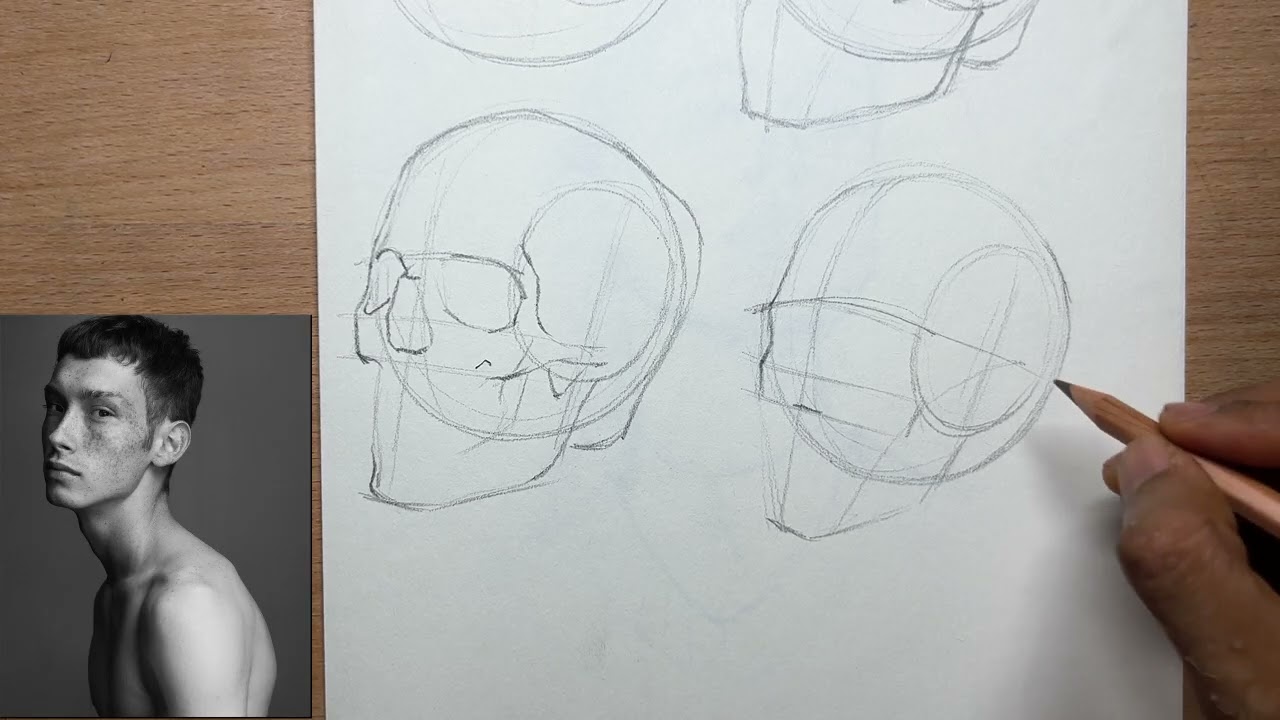 Loomis head construction & anatomy step by step 