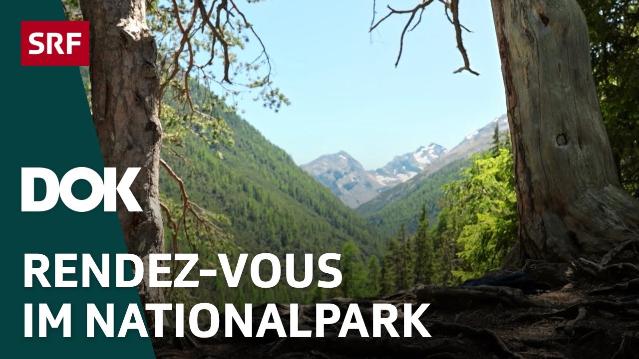 Was ist eigentlich ein Nationalpark ?