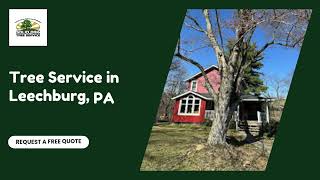 Expert Tree Service in Leechburg, PA | Solid Oak Tree Service