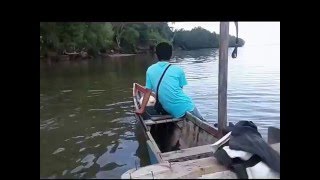 Video Perjalanan ke Pulau Yefi, Weda Kab. Halmahera Tengah, Maluku Utara