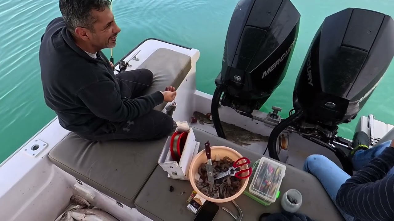 حداق نويبي و شعم تاريخ ٢٠٢٦/٢/٥