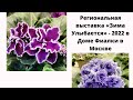 Обзор выставки «Зима Улыбается» - 2022 в Доме Фиалки в Москве