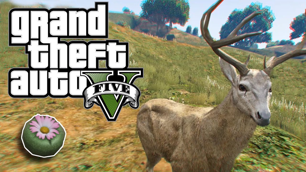 GTA 5 Լաֆաֆորներ - #1 | Դարձանք եղջերու?! | Hayeren / Հայերեն + Ինչպես ստանալ անվճար GTA 5