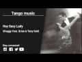 Shaggy Feat. Brian & Tony Gold – Hey Sexy Lady - Tango music