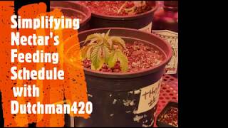 Simplifying Nectar's feeding schedule...autos included with Dutchman420