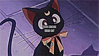 teen suicide - dead cat [slowed, remastered]