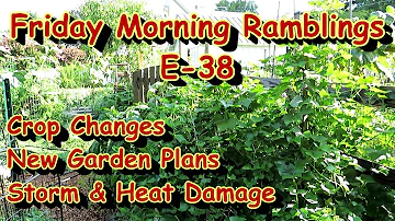 Summer Crops are Fading, New Garden Plans, Fall Crops are Planted: FM Gardening Ramblings E-38